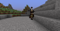 Player riding a horse in Minecraft