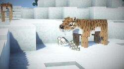Saber-toothed tiger in a snowy biome