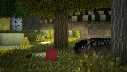 Brown mob with spiky back in forest