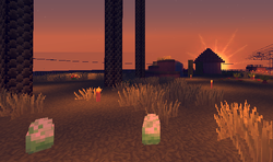 Sunset over a village with two graves