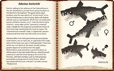 Edestus heinrichi mob and description