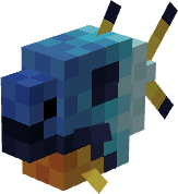 A small, blue and orange fish