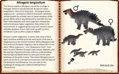Miragaia longicollum family in a book