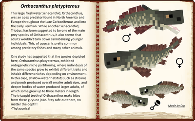 Orthacanthus platypternus male, female, and young