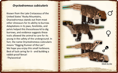Oryctodromeus cubicularis, male, female, and babies