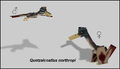 Male and female Quetzalcoatlus northropi