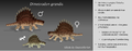 Dimetrodon grandis male, female, and baby