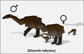 Dinornis robustus family with male and female