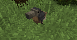 A small dodo bird in grass.