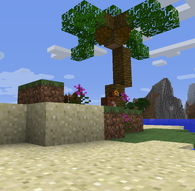 Palm tree on a sandy beach
