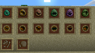 Various dinosaur eggs and fossils in frames