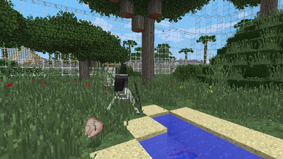 Minecraft player in grassy enclosure with trees