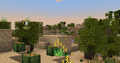 Desert biome with trees and cacti