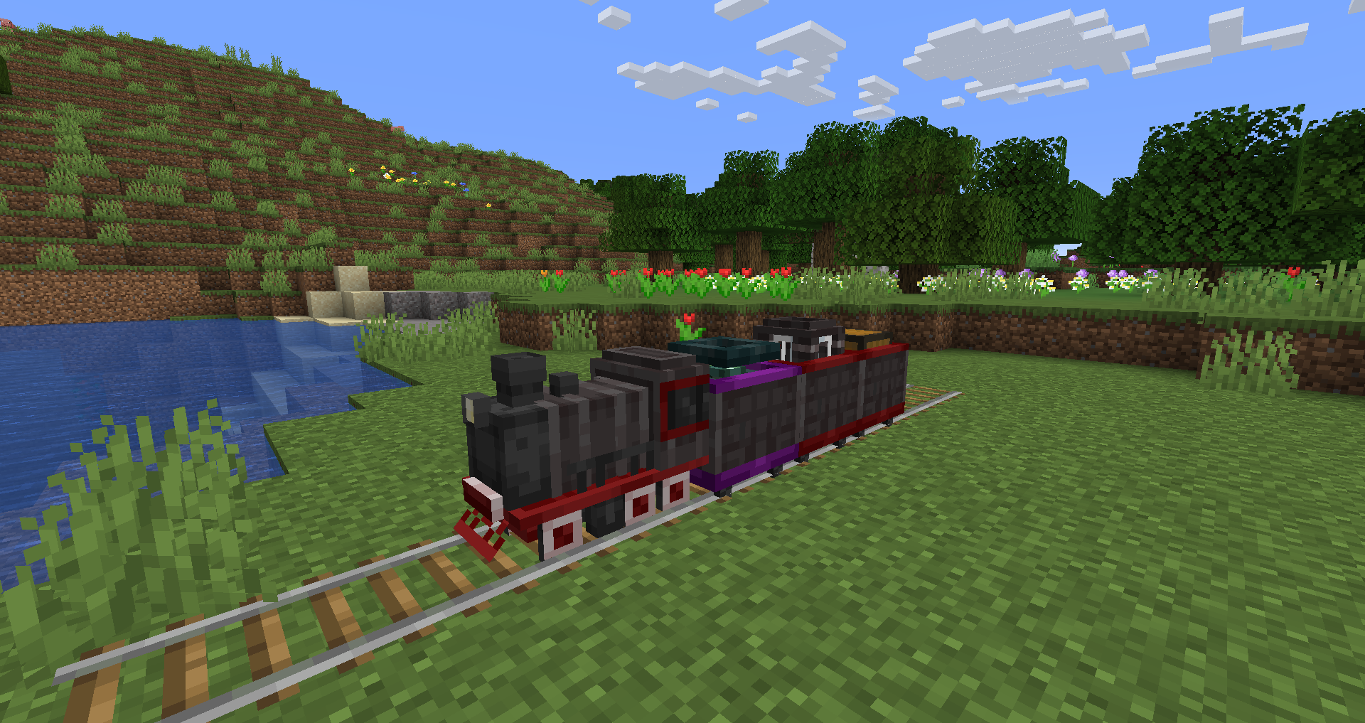 Steam locomotive on tracks in a field