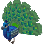 A blue peacock with its tail fanned.