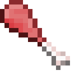 Raw chicken leg, a food item.