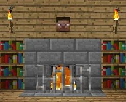 A cozy fireplace with bookshelves and Steve's head.