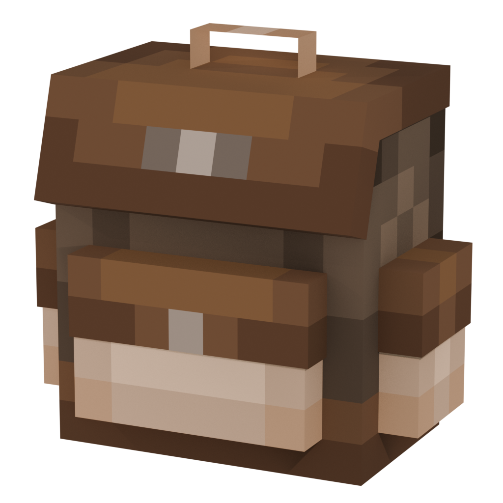 Brown backpack for carrying items