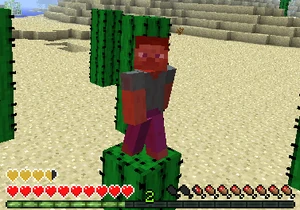 Player standing on cactus taking damage