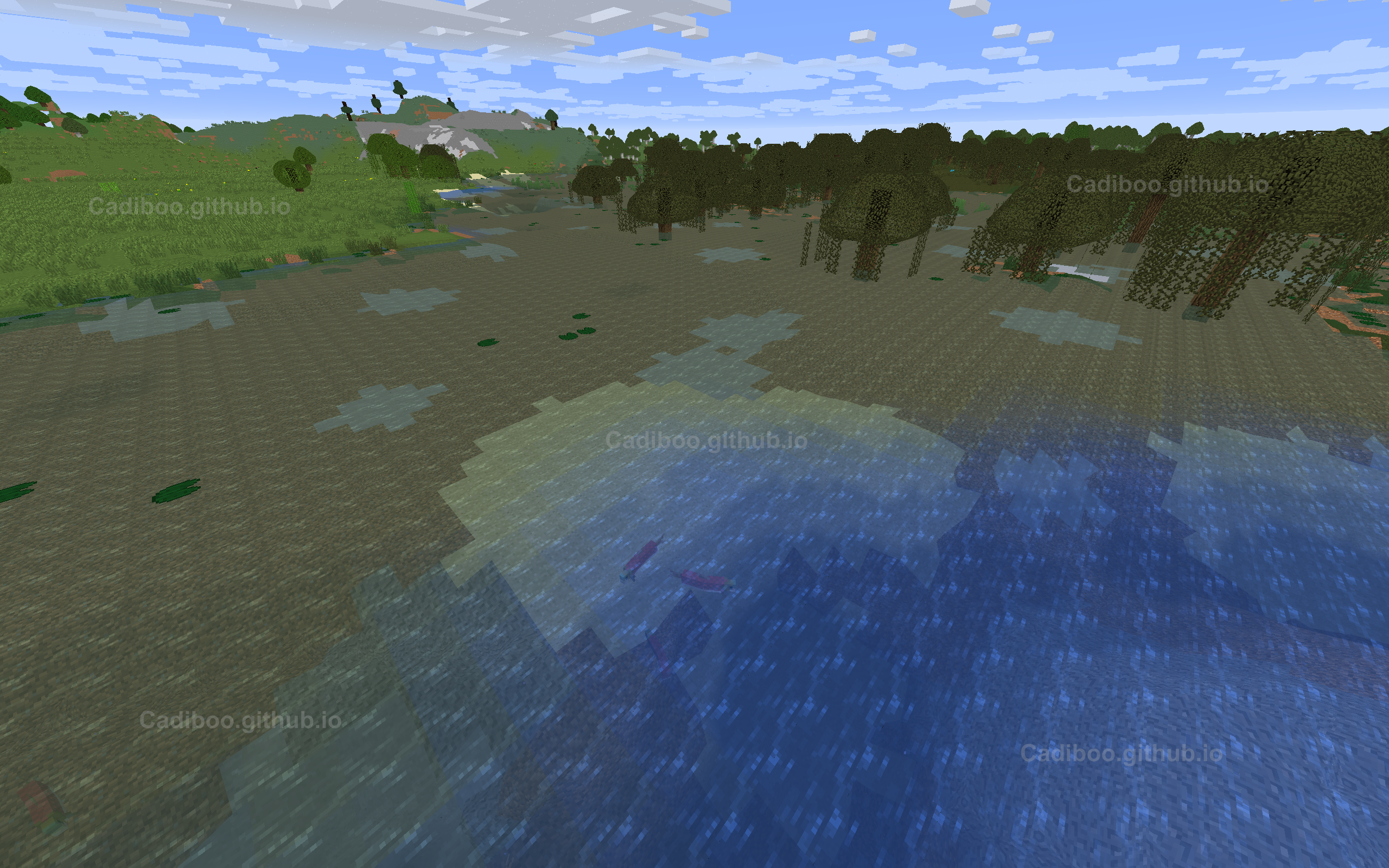 A vast swamp biome with murky water