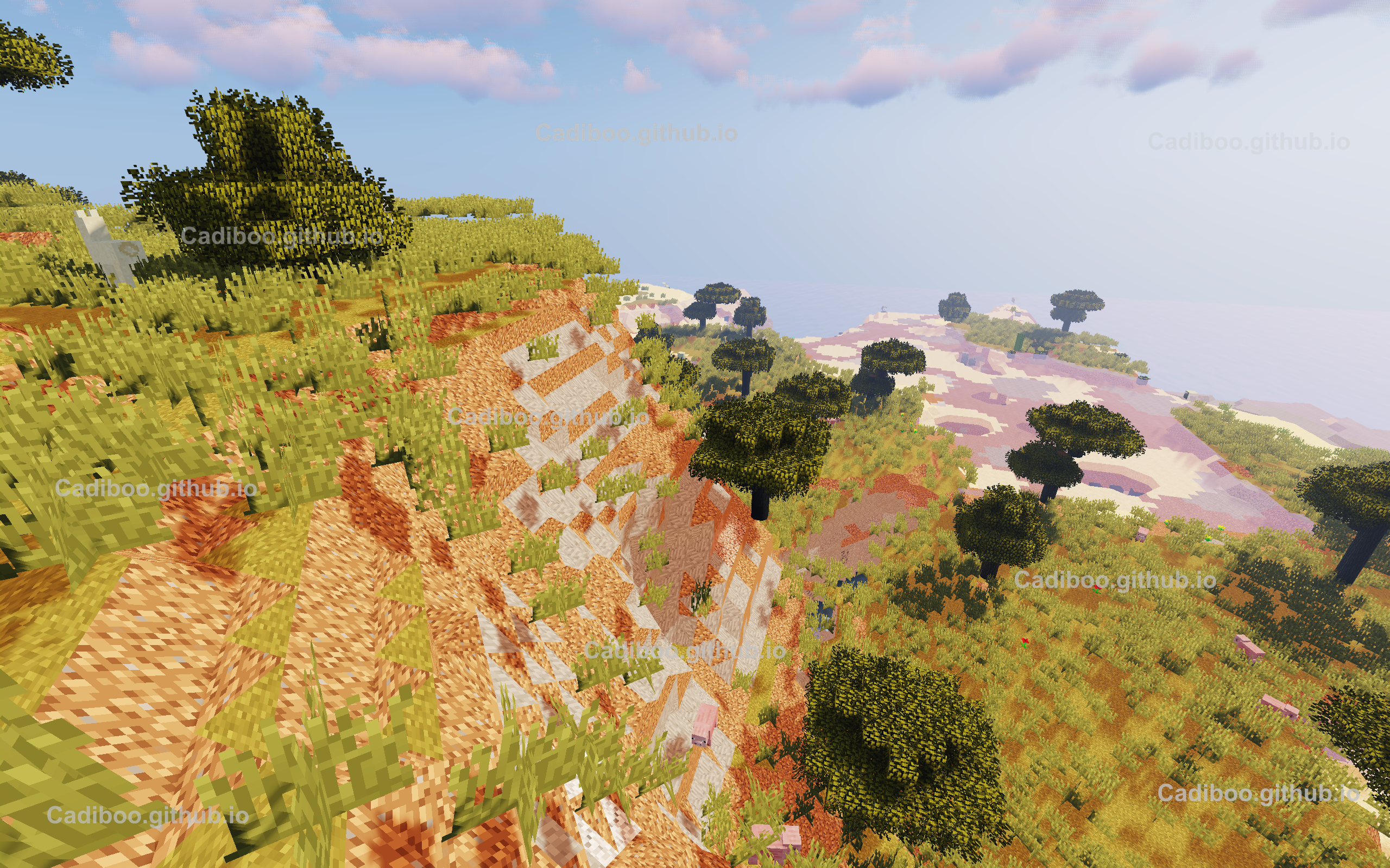 Scenic view of a savanna biome