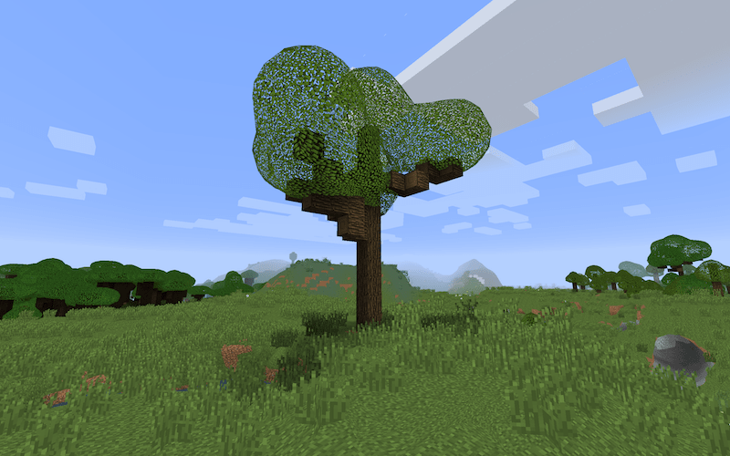 Large tree in a grassy field
