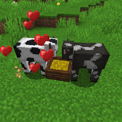 Cows breeding with a trough