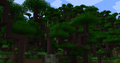 Lush green forest biome in Minecraft