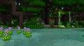 Purple flowers in a lush forest