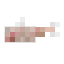 Small pixelated fish-like item