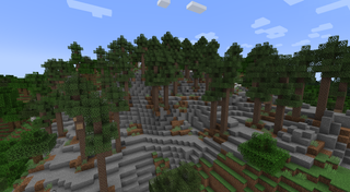 Pine trees on a rocky hillside