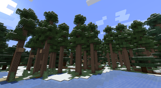 Tall trees in a snowy forest biome