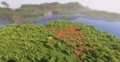 Lush jungle biome with a river