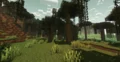 Lush forest biome with tall trees