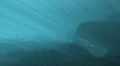 Underwater view with light rays and large shape