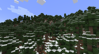 Snowy taiga forest with tall pine trees