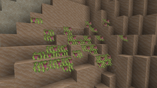 Vines with purple flowers growing on sand
