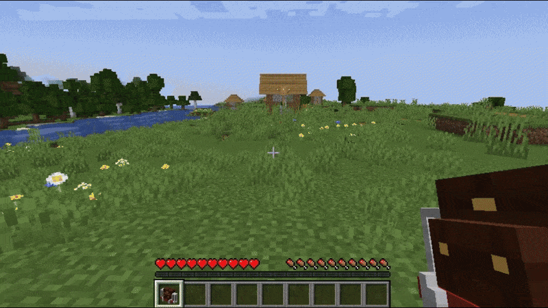 Player in a village with a shield