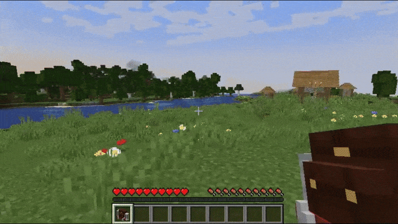 Player in a village near river