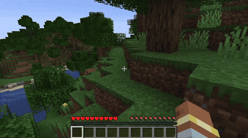 Minecraft player in a forest biome