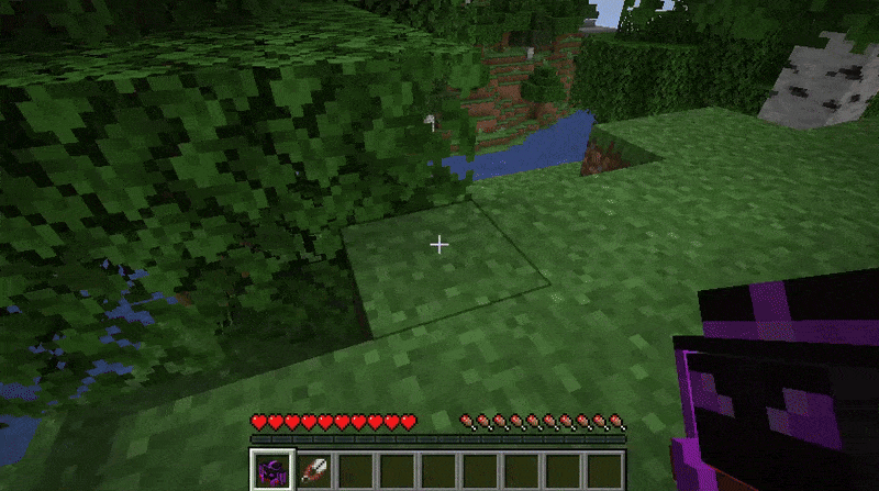 First-person view of Minecraft world