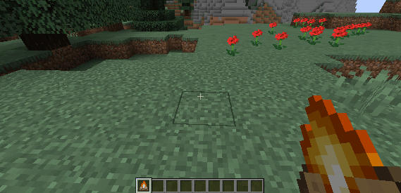 Player holding a torch in a field