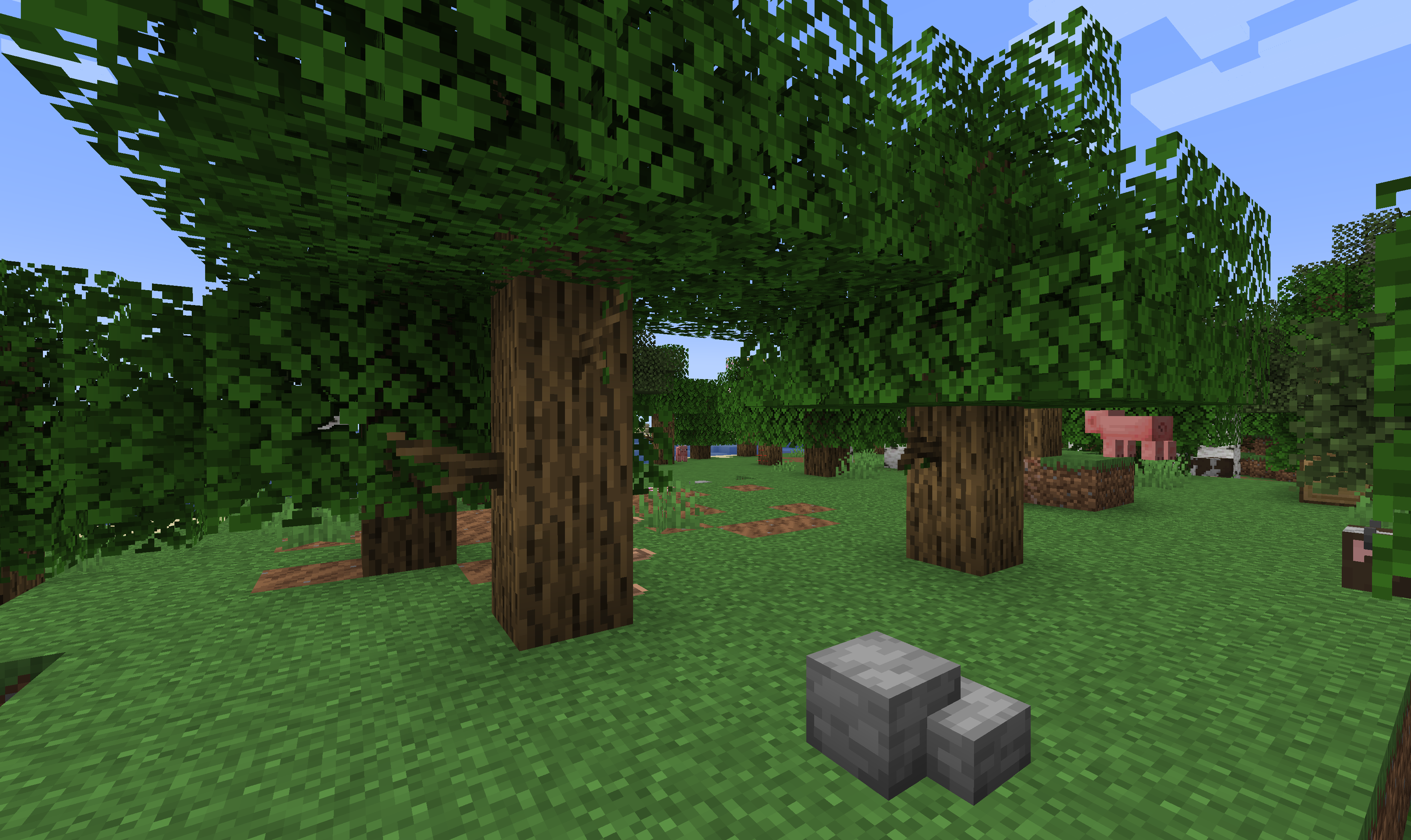 Forest biome with trees and pigs